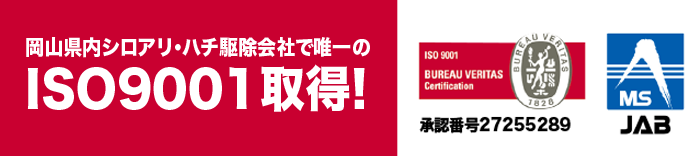 岡山県内シロアリ・ハチ駆除会社で唯一のISO9001取得。ハチ駆除のことならハチ駆除のサンアメマンにおまかせください。
